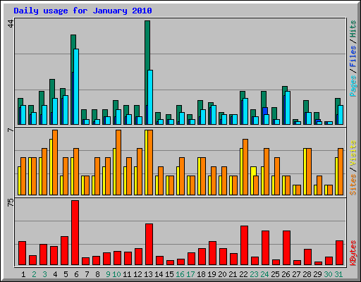Daily usage for January 2010