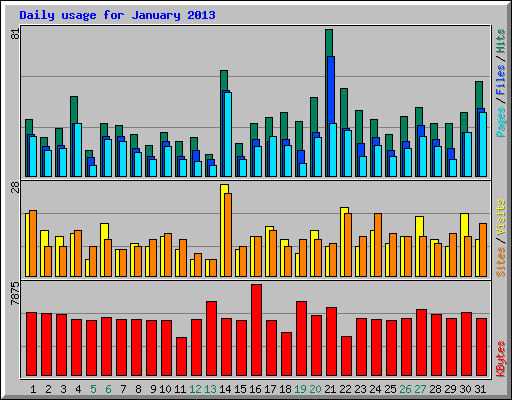 Daily usage for January 2013