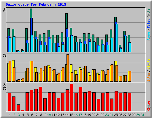 Daily usage for February 2013
