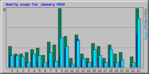 Hourly usage for January 2010