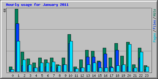 Hourly usage for January 2011