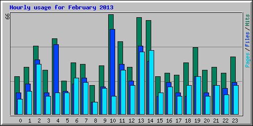 Hourly usage for February 2013