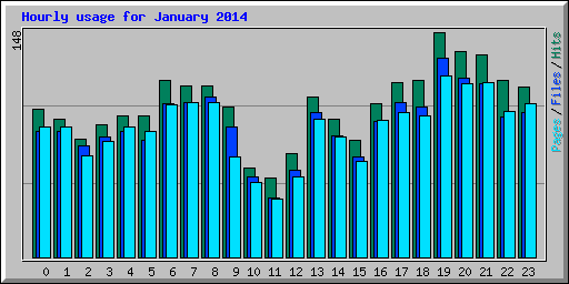 Hourly usage for January 2014