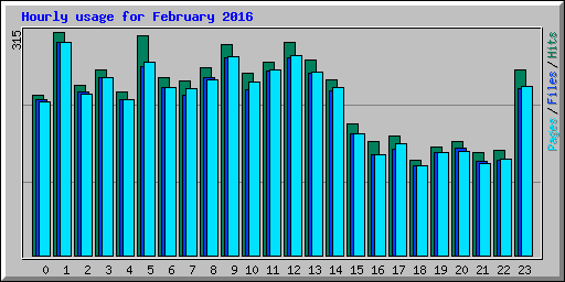 Hourly usage for February 2016